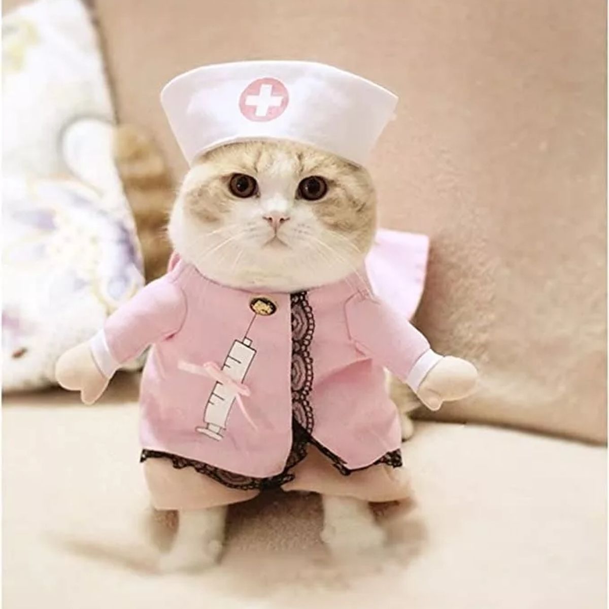 DEFENSOR FOREVER - Disfraz De Enfermera Para Mascotas GatosRosado Talla S