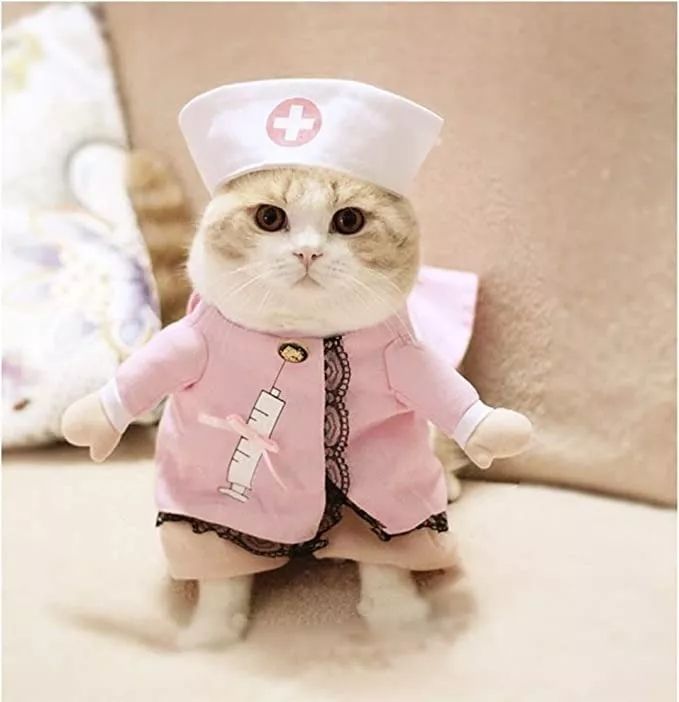 Disfraz De Enfermera Para Mascotas GatosRosado Talla M