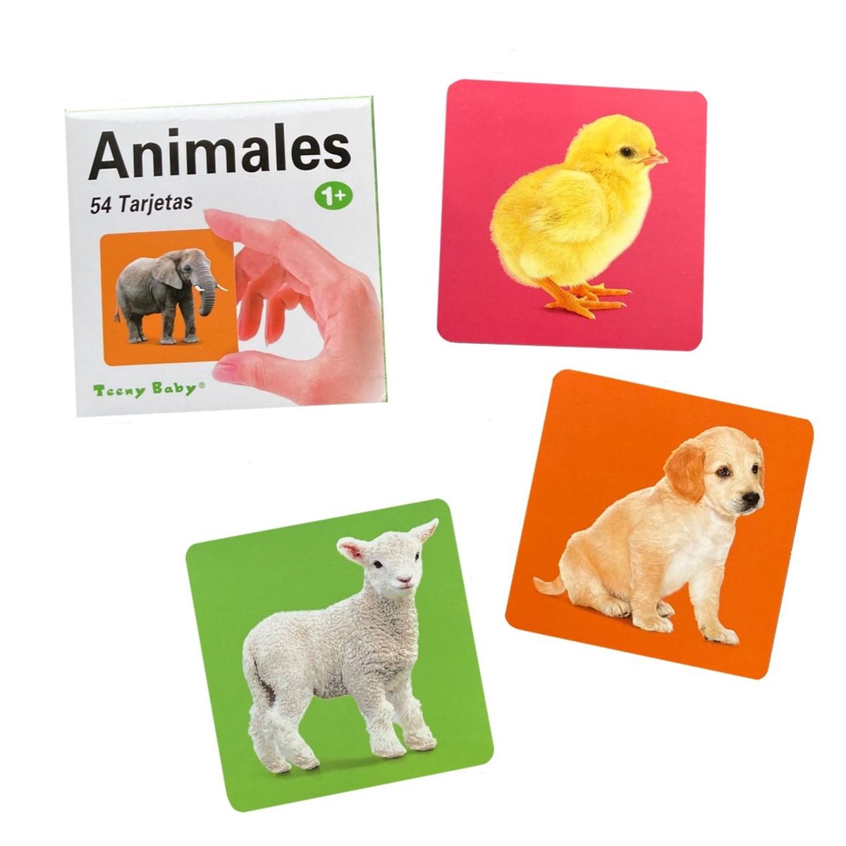 GENERICO - Láminas tarjetas de aprendizaje - Animales