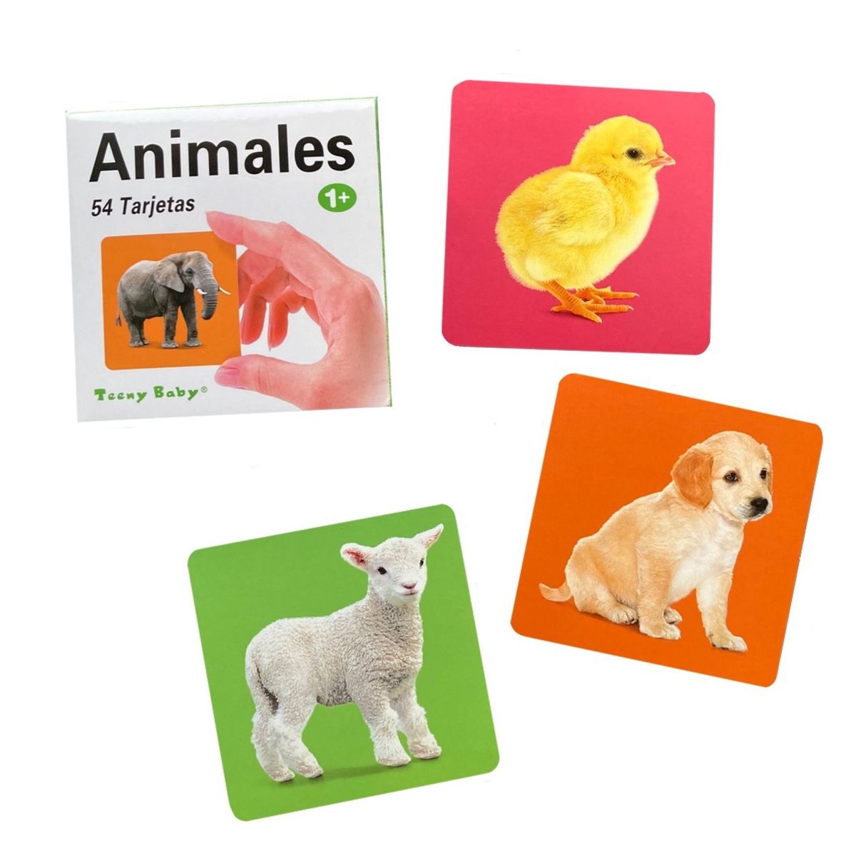 GENERICO - Láminas tarjetas de aprendizaje - Animales