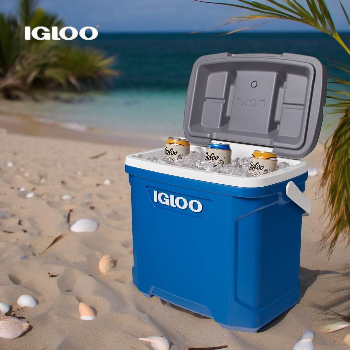 IGLOO - Cooler Nevera Hielera Latitude Azul 28 Litros Igloo