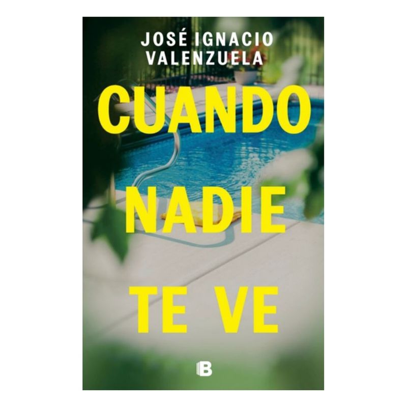EDICIONES B - Cuando Nadie Te Ve - VALENZUELA, JOSE IGNACIO