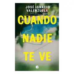 EDICIONES B - Cuando Nadie Te Ve - VALENZUELA, JOSE IGNACIO