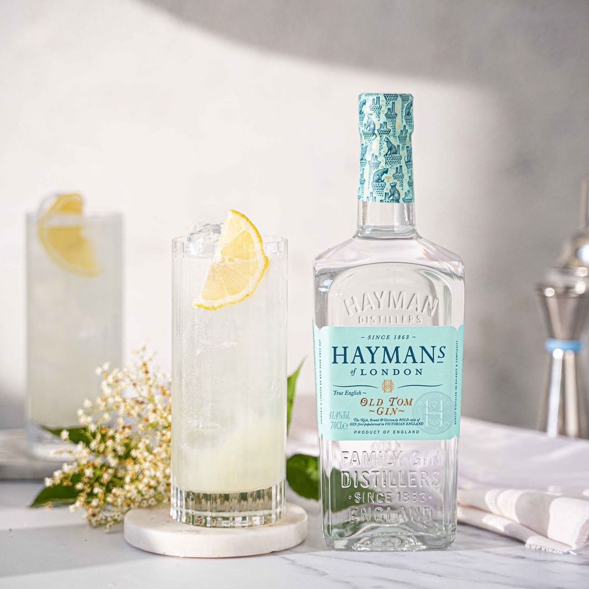 HAYMAN'S - Gin Haymans Old Tom 750ml