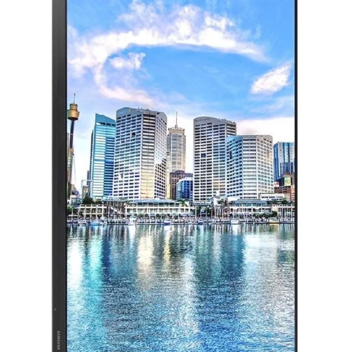 SAMSUNG - Monitor Profesional Samsung FT45 24 IPS Full HD FreeSync SAMSUNG