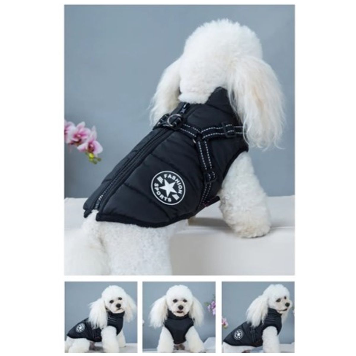 MASCO TODO - Parka Chaqueta Impermeable Talla M Perro Negro