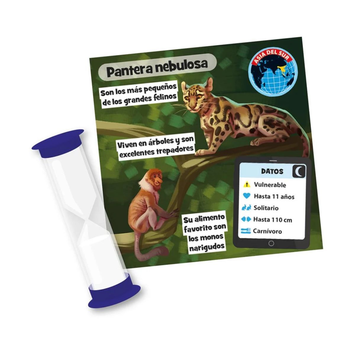 ANSALDO - Juego de cartas Brainbox Animales observación y memoria