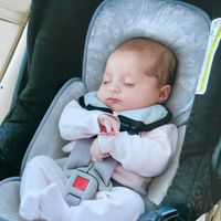 SOPORTE DE CABEZA Y CUERPO PARA COCHES Y SILLAS DE AUTO PERFECT SLEEPER