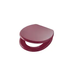 GENERICO - Tapa de Inodoro Baño WC Asiento Burdeo