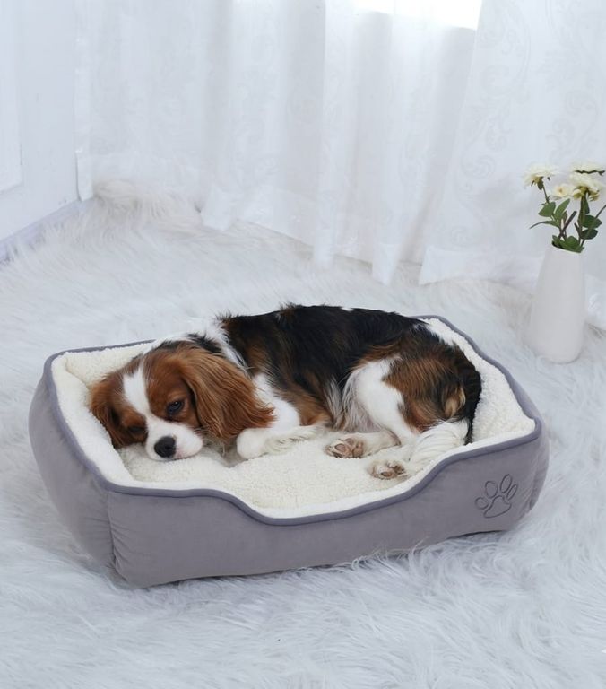Cama Premium 2 Piezas para mascotas Color Talla XL Gris
