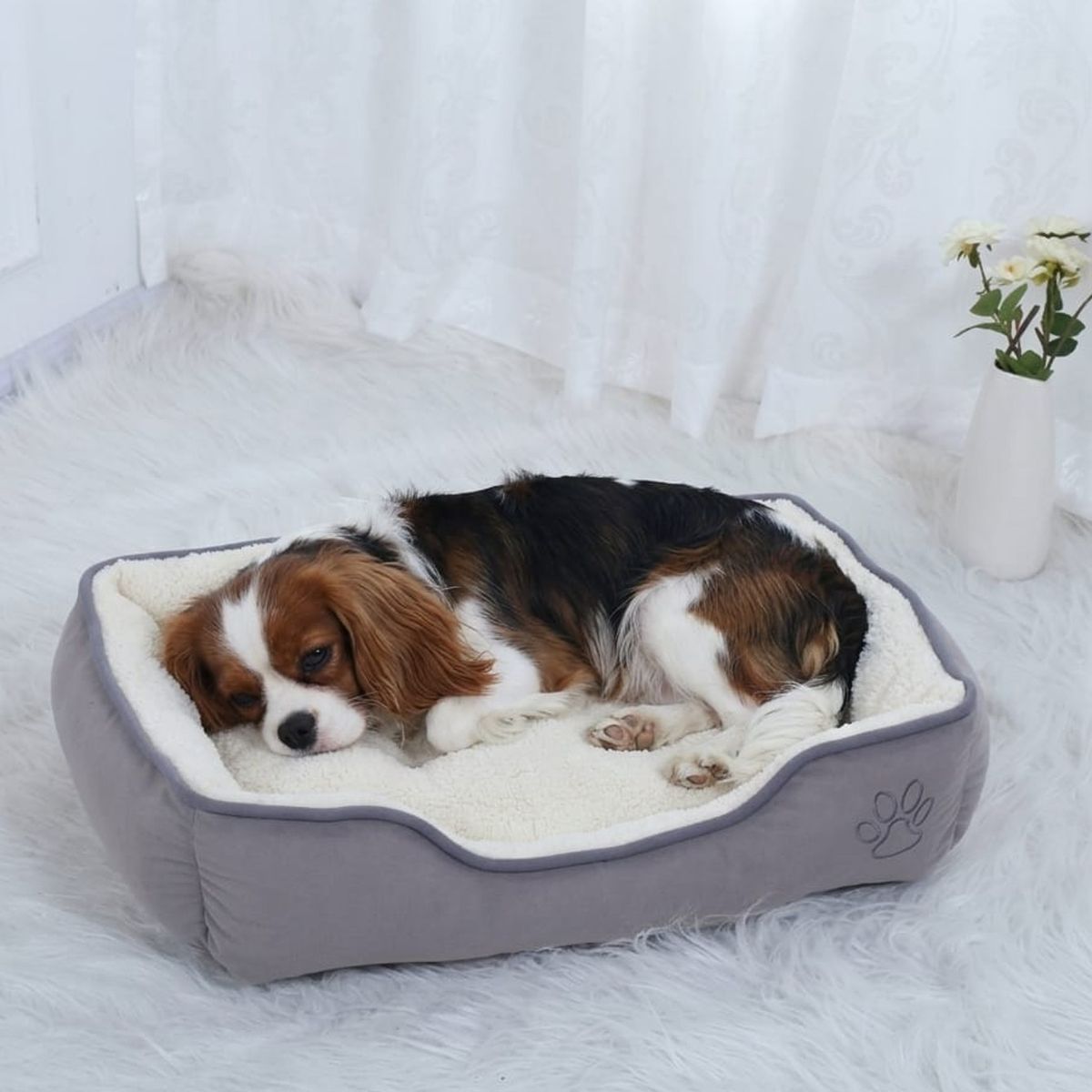 MASCO TODO - Cama Premium 2 Piezas para mascotas Color Talla XL Gris