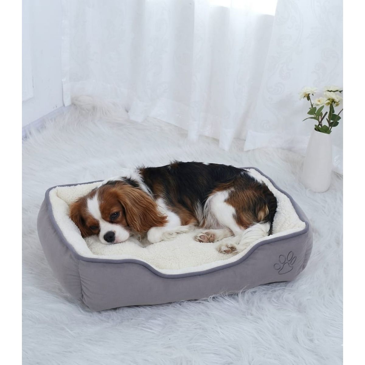 MASCO TODO - Cama Premium 2 Piezas para mascotas Color Talla XL Gris
