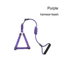 MASCO TODO - Arnés más Correa para Perros Mascotas Morado