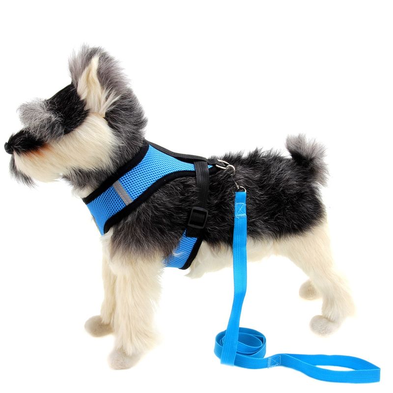 GENERICO - Arnés Reflectante y Correa para Perros Mascotas Azul Talla S