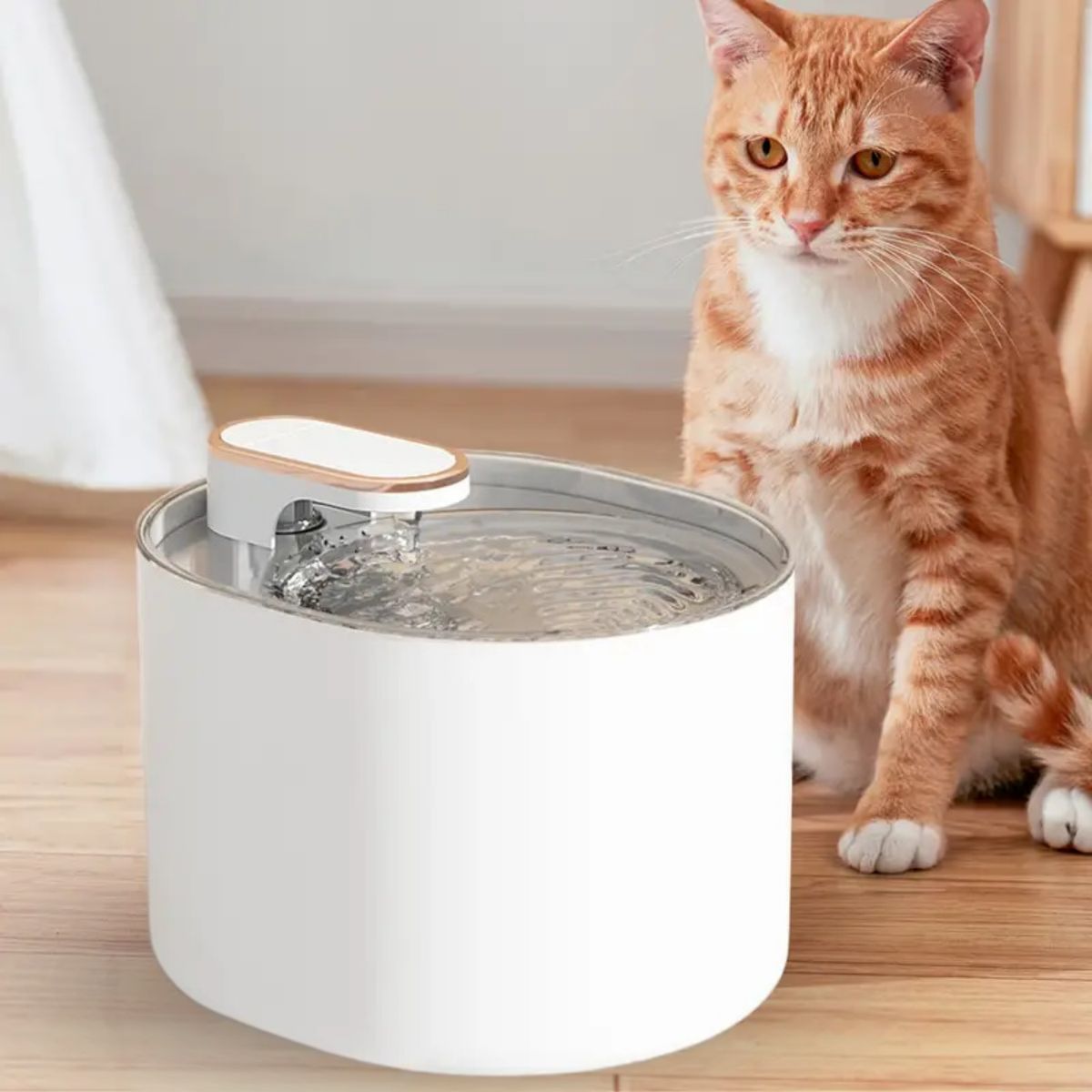 SANTU HOME & DECO - Pack de 6 Filtros Para Bebedero Eléctrico Mascotas