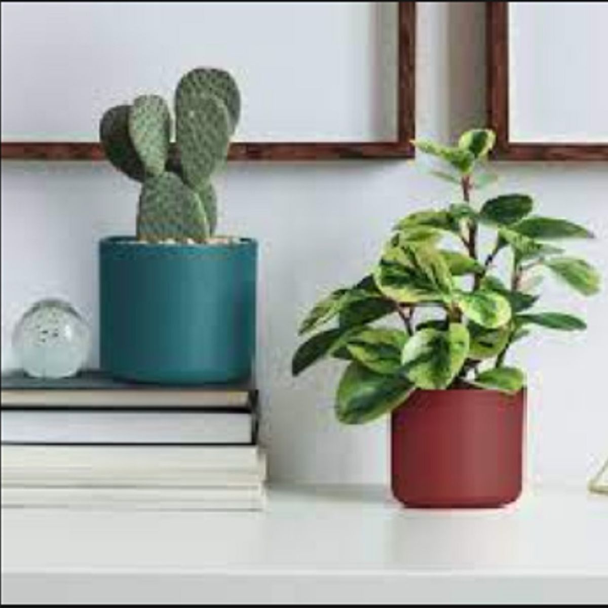 EURO3PLAST - Macetero de plástico reciclado 13x12 cm color Blanco