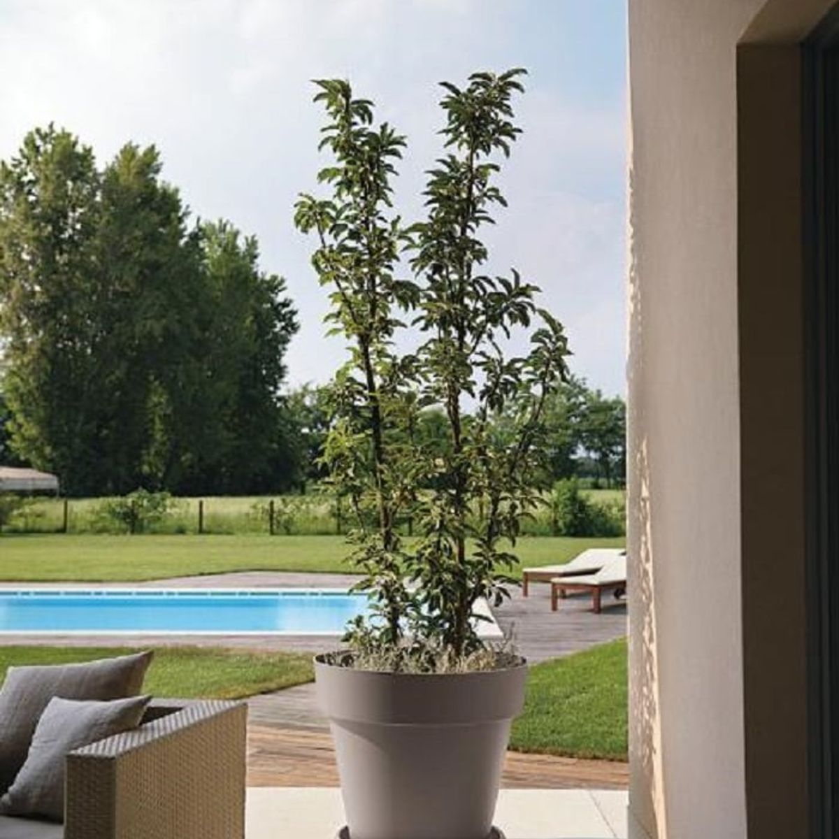 EURO3PLAST - Macetero de plástico con plato 40x36 cm color Arena