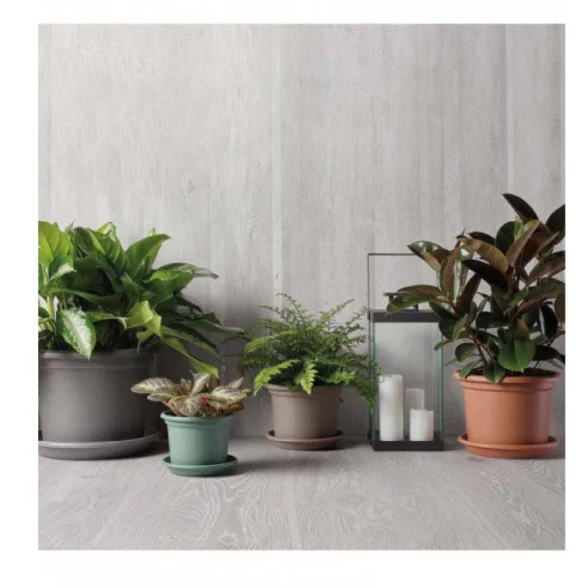 EURO3PLAST - Macetero de plástico reciclado  plato 30x23 cm color Verde Salvia