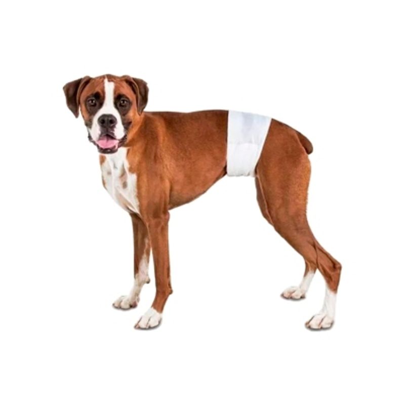 GENERICO - 24 Pañales Para Perros Pañales Para Perro Pañales Gato L