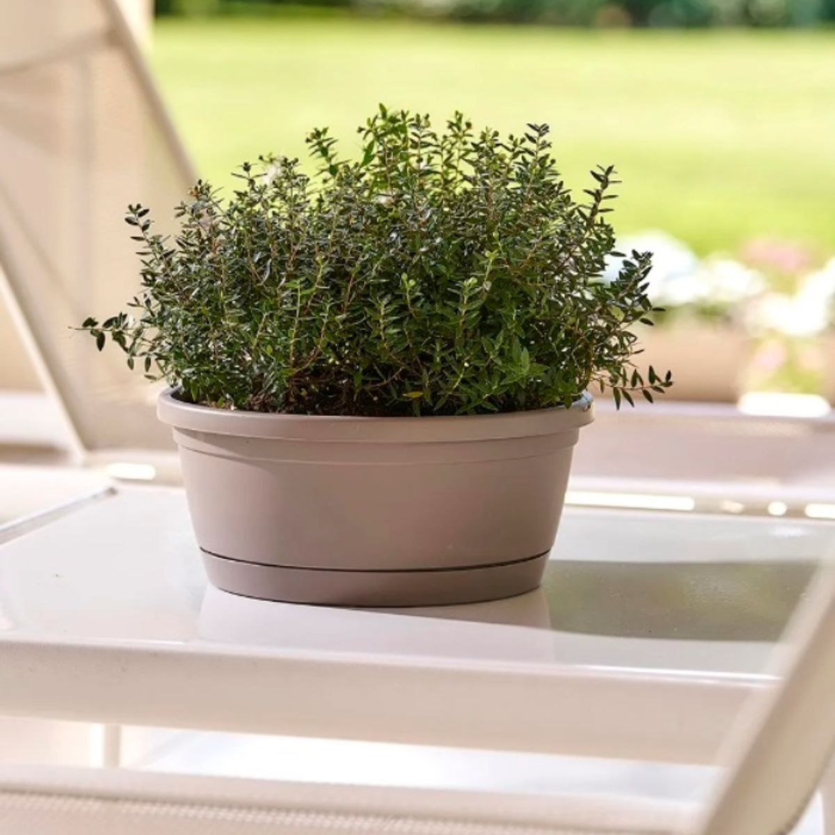 EURO3PLAST - Macetero plástico con plato 35 x 15 cm color taupé