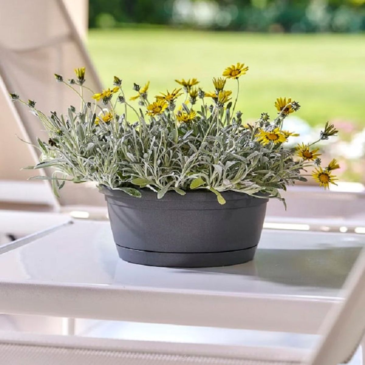 EURO3PLAST - Macetero de plástico con plato 35x15 cm color Gris Antracita