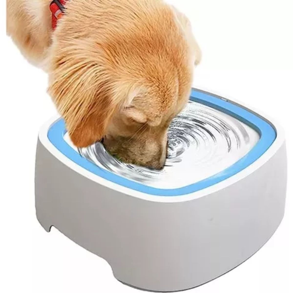 OEM - Tazon Bebedero De Agua Antiderrame Para Mascotas Perro Gato