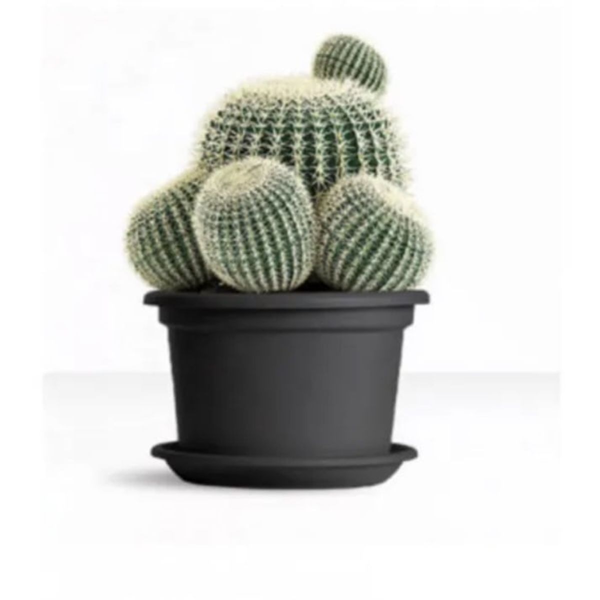 EURO3PLAST - Macetero de plástico reciclado  plato 30x23 cm color Gris Antracita