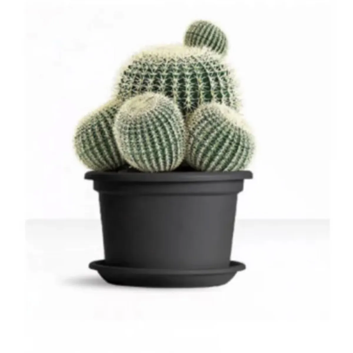 EURO3PLAST - Macetero de plástico reciclado con plato 40x30 cm color gris antracita