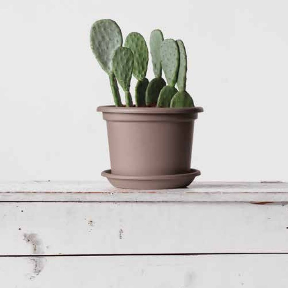 EURO3PLAST - Macetero de plástico reciclado  plato 40x30 cm color Verde salvia