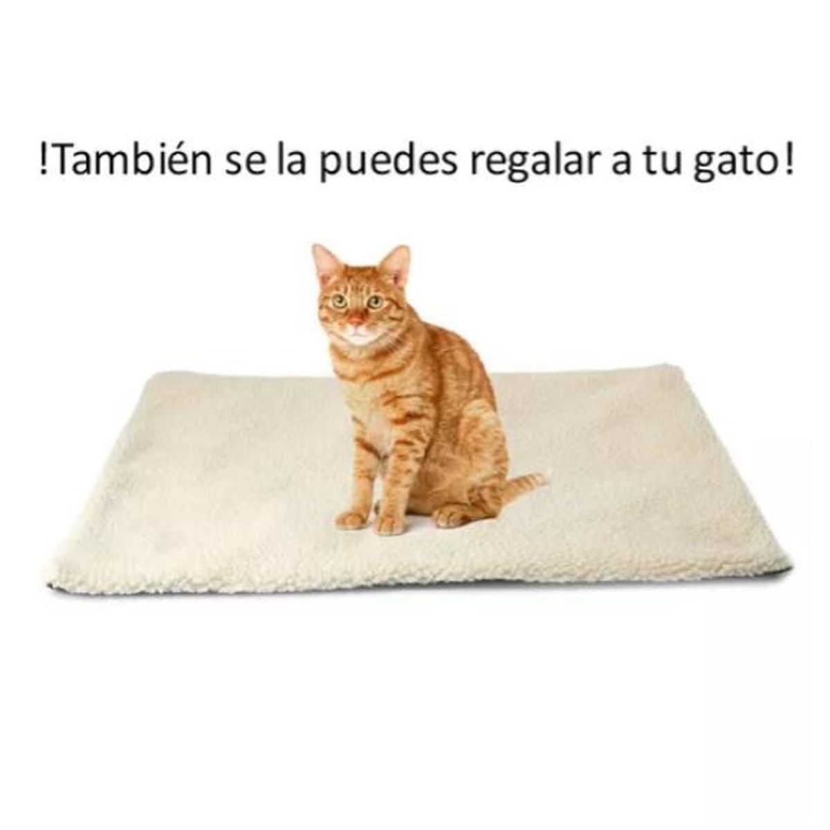 OEM - Manta cama mascota,  Termica para mascotas: 64x49cm,
