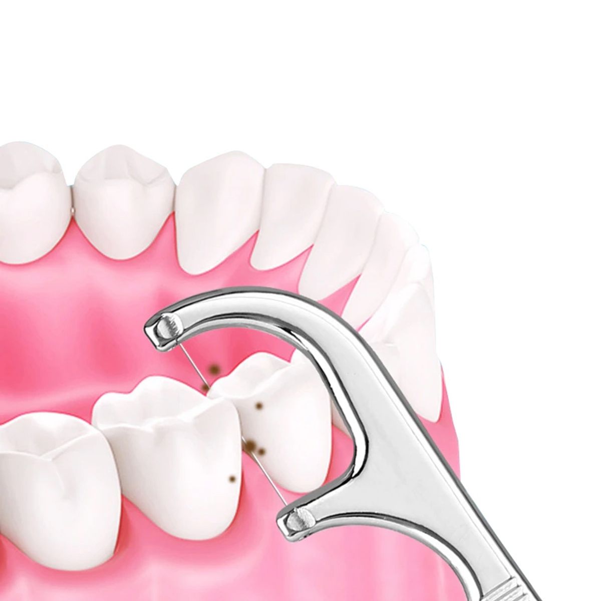 GENERICO - Limpiador De Dientes De Acero Inoxidable