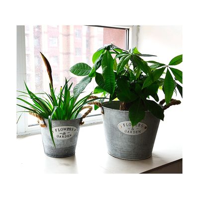 Imagen 2 del producto Macetero Latón Smarthome 23x18 cms