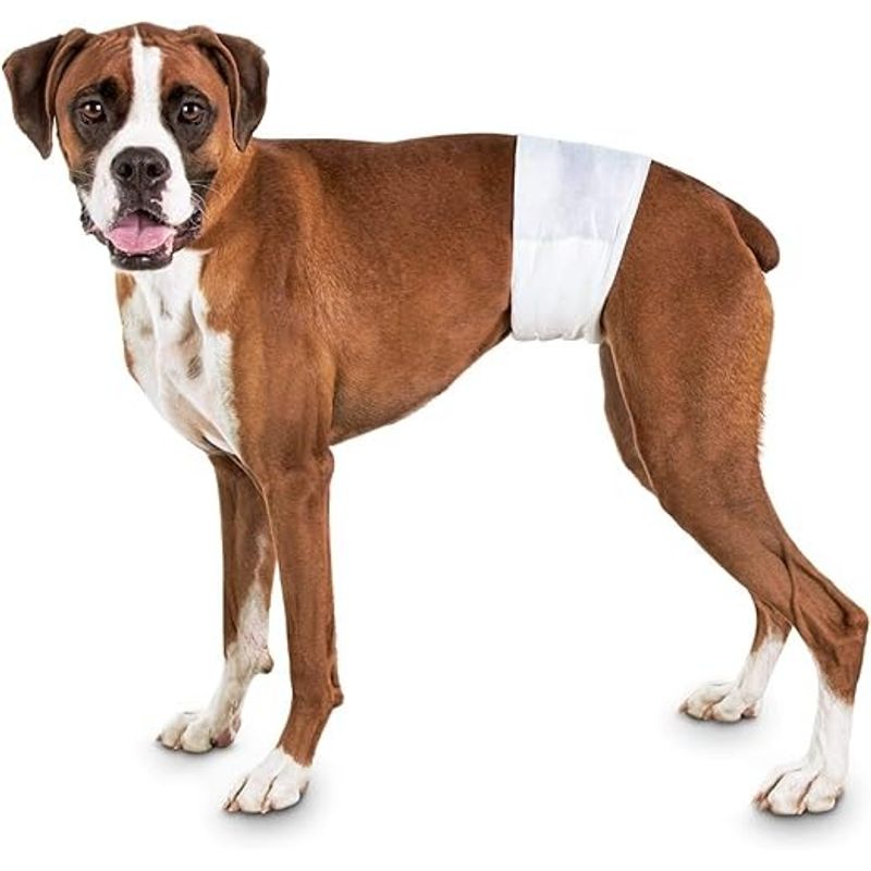 GENERICO - 24 Pañales Para Perros Pañales Para Perro Pañales Gato S