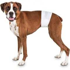 GENERICO - 24 Pañales Para Perros Pañales Para Perro Pañales Gato S