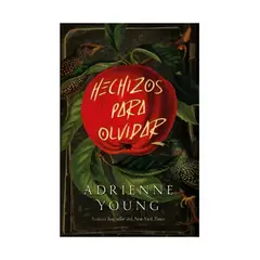 TOP10BOOKS - LIBRO H e c h i z o s Para Olvidar - H e c h i z o s Para Olvidar