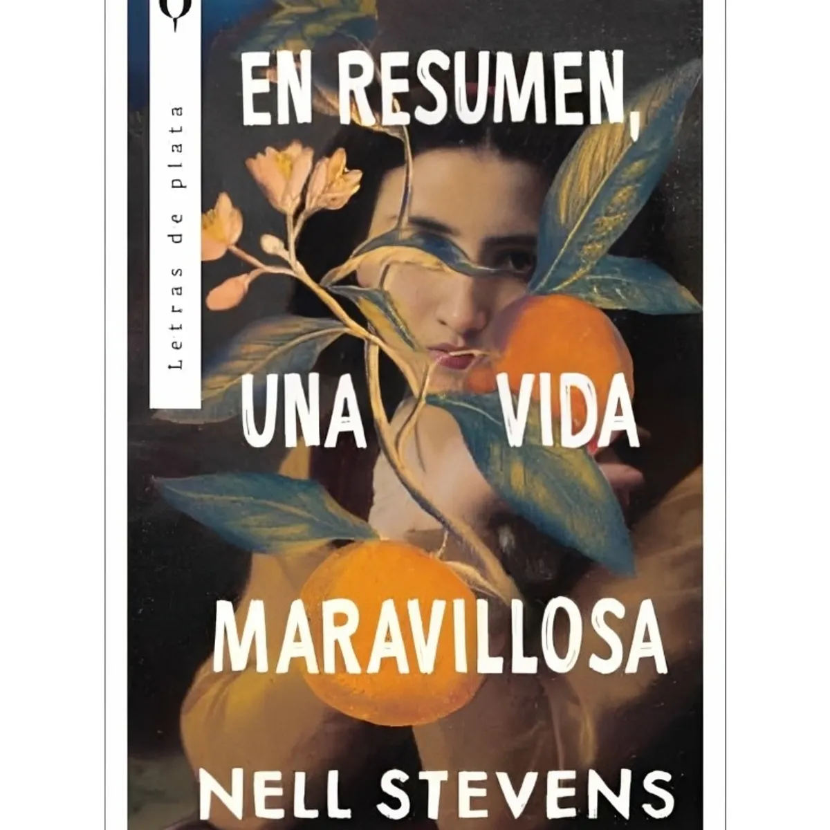 TOP10BOOKS - LIBRO En Resumen Una Vida Maravillosa - En Resumen Una Vida Maravillosa