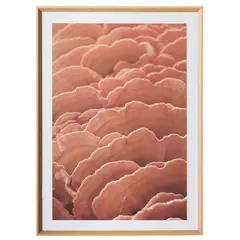 AMOBLE - Cuadro Funghi A 80 X 110 Amoblé