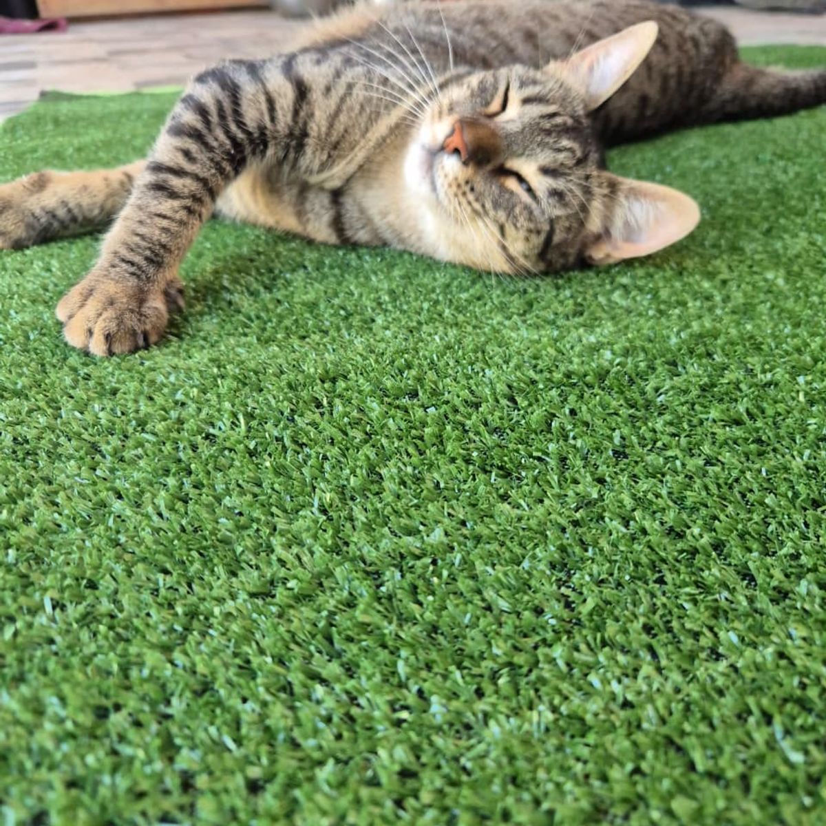 GENERICO - Pasto sintético 8mm 10mts x 2mt 20m2