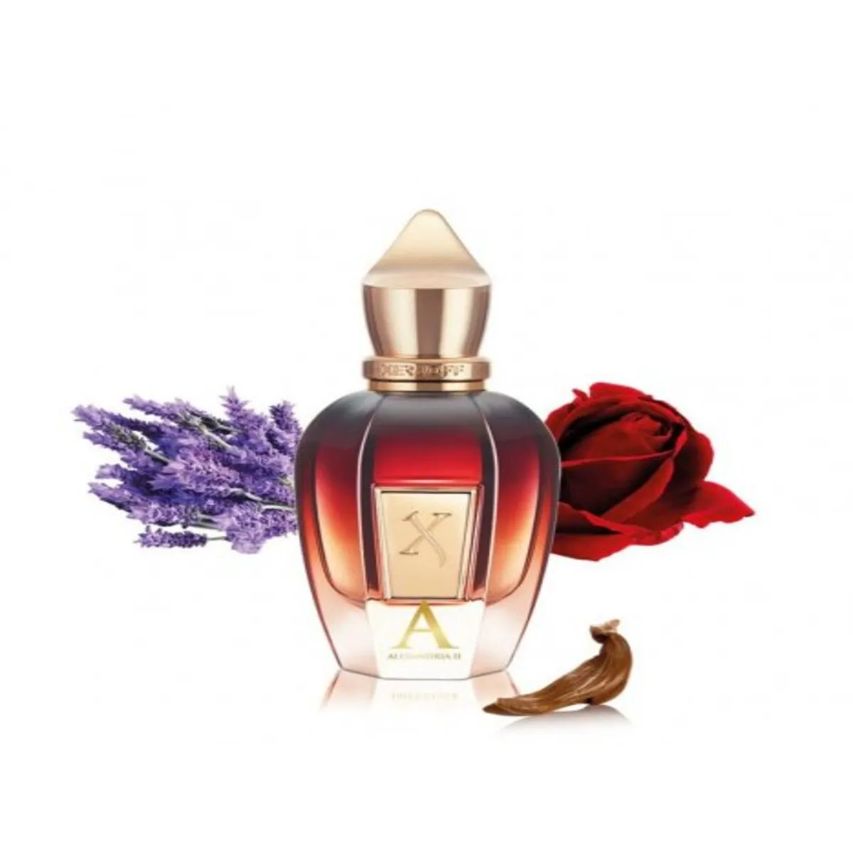 XERJOFF - XERJOFF XJ OUD STARS ALEXANDRIA II PARFUM 50 ML