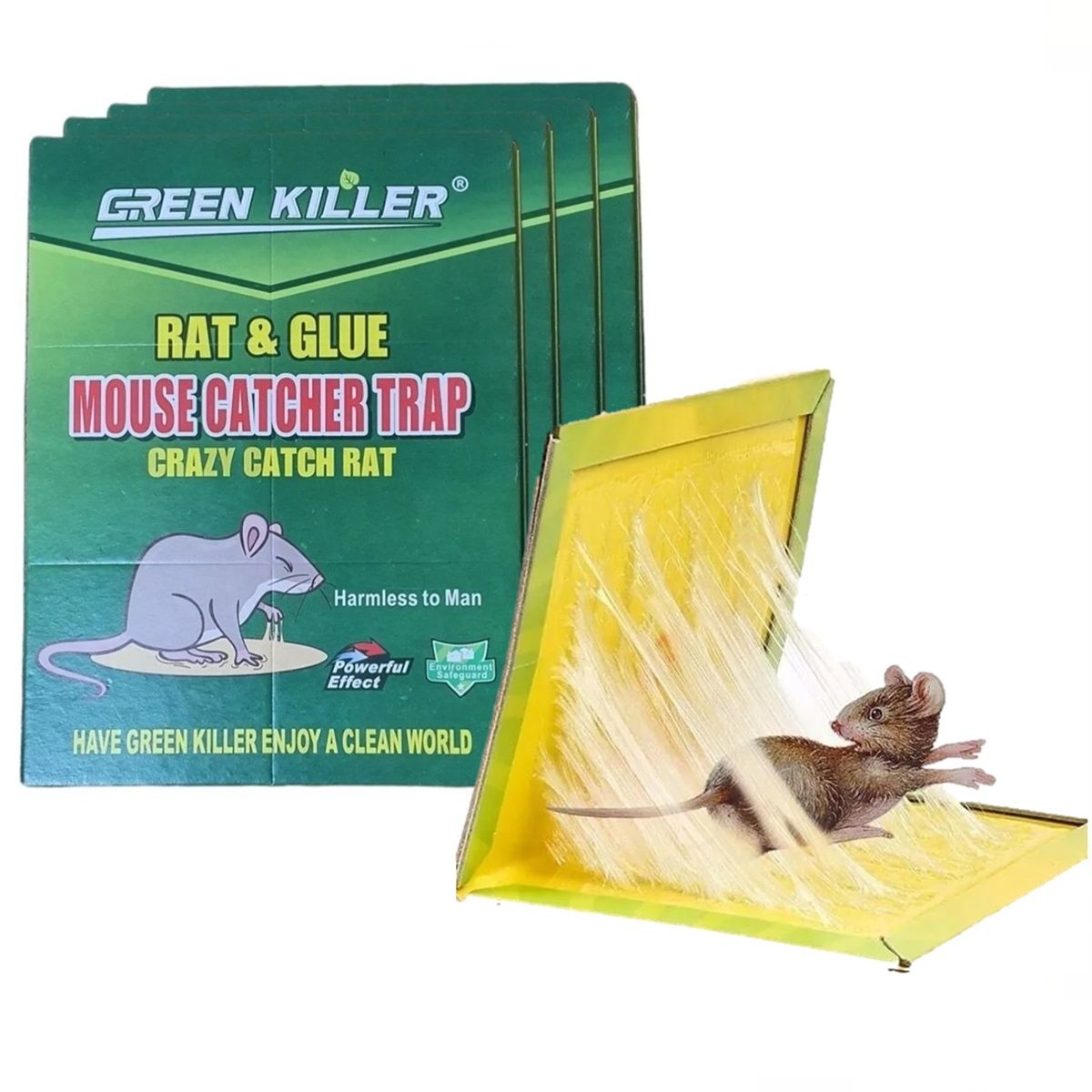 GENERICO - Pack X5 Trampa Ratones Pegajosa Desratizacion Control Rata