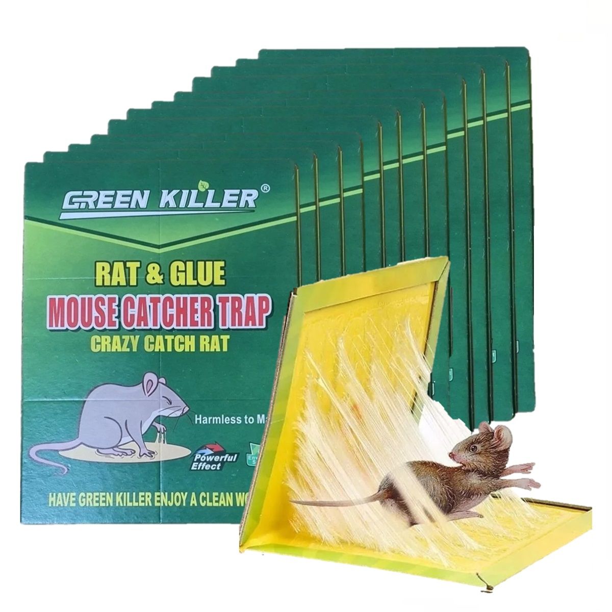 GENERICO - Pack X10 Trampa Ratones Pegajosa Desratizacion Control Rata