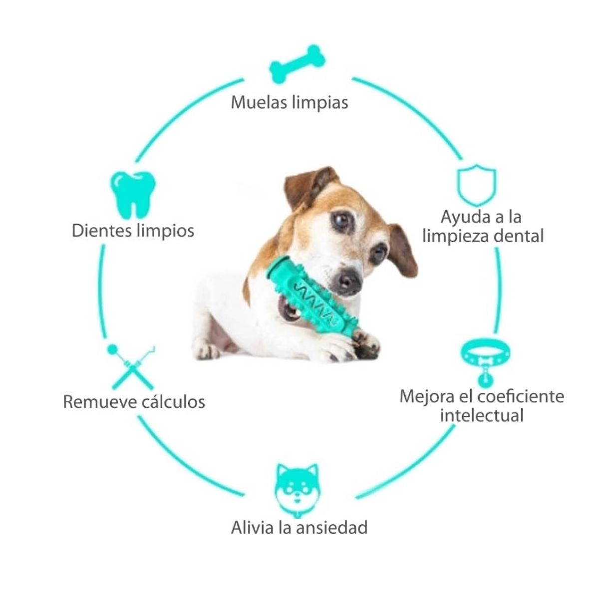 OEM - JUGUETE FORMA DE HUESO DE LIMPIEZA DE DIENTES PARA PERROS