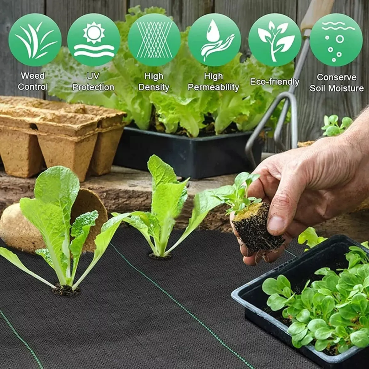 KUANGYE - Ground Cover O Malla Antimaleza Cubresuelo 2m Ancho X 10m Largo