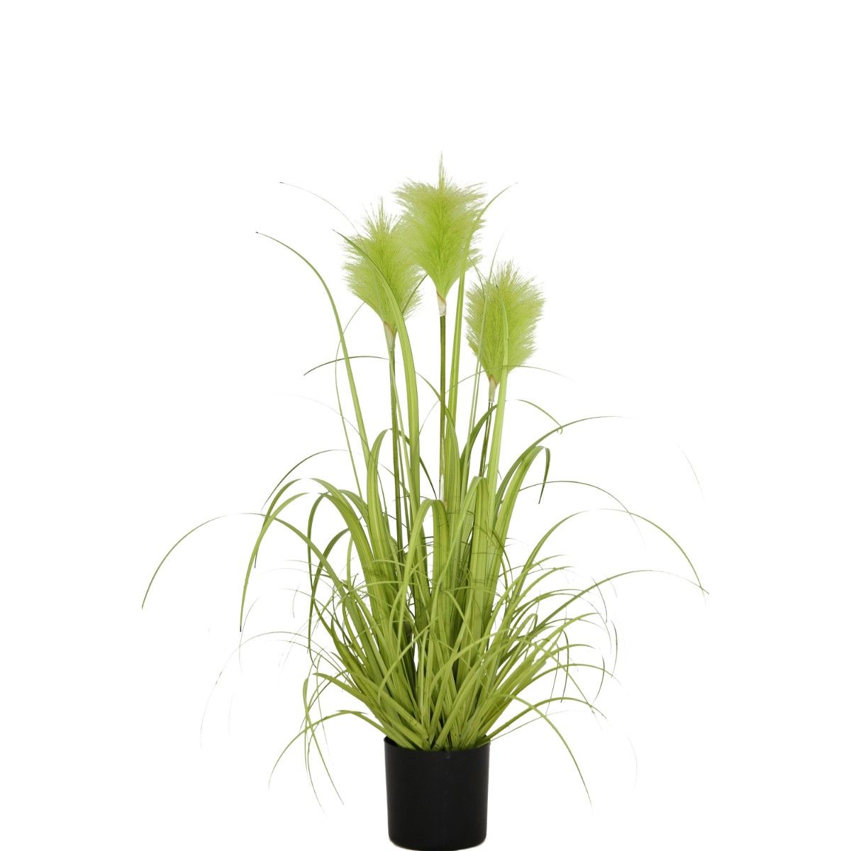 NECTAR - Grass chascón pluma verde 81 cm