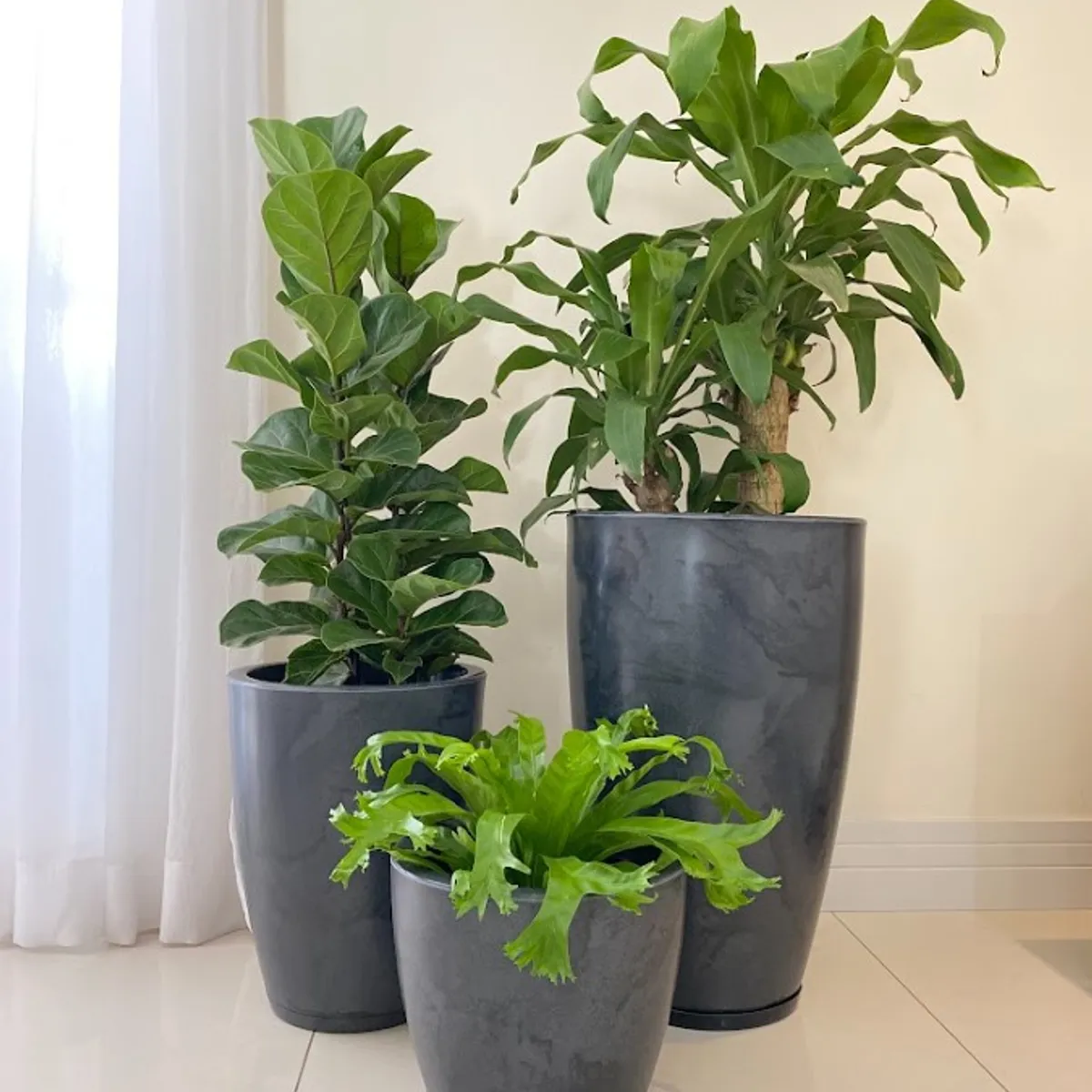 FLORIDIS - MACETERO FLORIDIS NEGRO EFECTO MARMOL AMSTERDAM 28CM ALTO CON PLATO