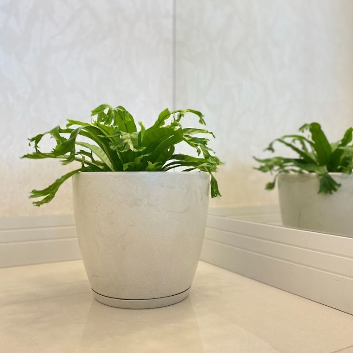 FLORIDIS - MACETERO FLORIDIS GRIS EFECTO MARMOL AMSTERDAM 28CM ALTO CON PLATO