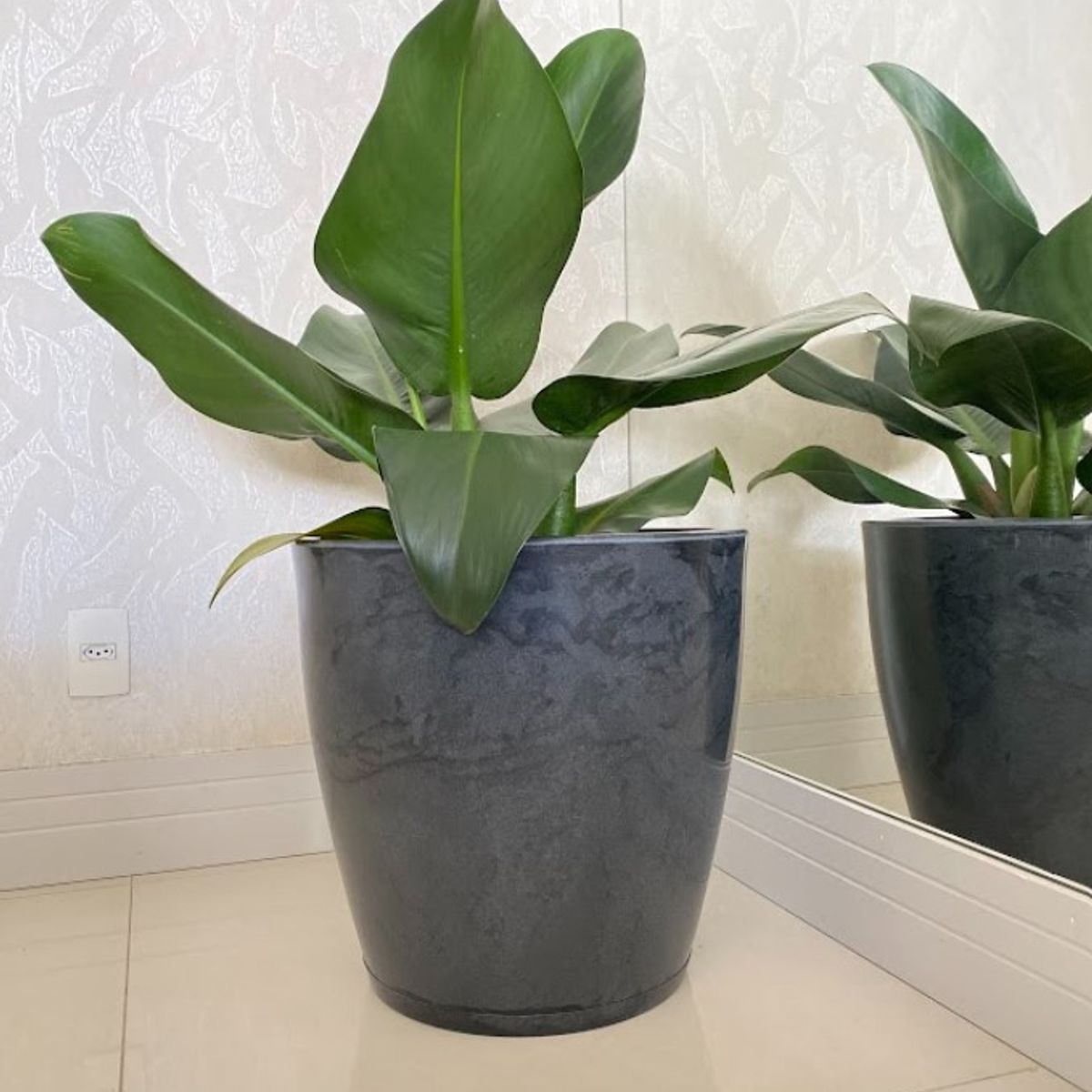 FLORIDIS - MACETERO FLORIDIS NEGRO EFECTO MARMOL AMSTERDAM 45CM ALTO CON PLATO