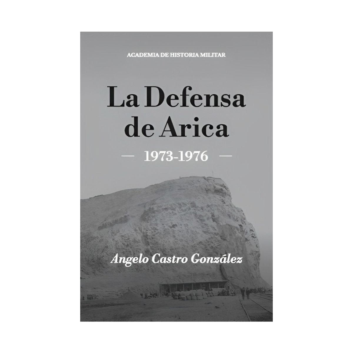TOP10BOOKS - LIBRO La Defensa De Arica canales oficiales - La Defensa De Arica canales