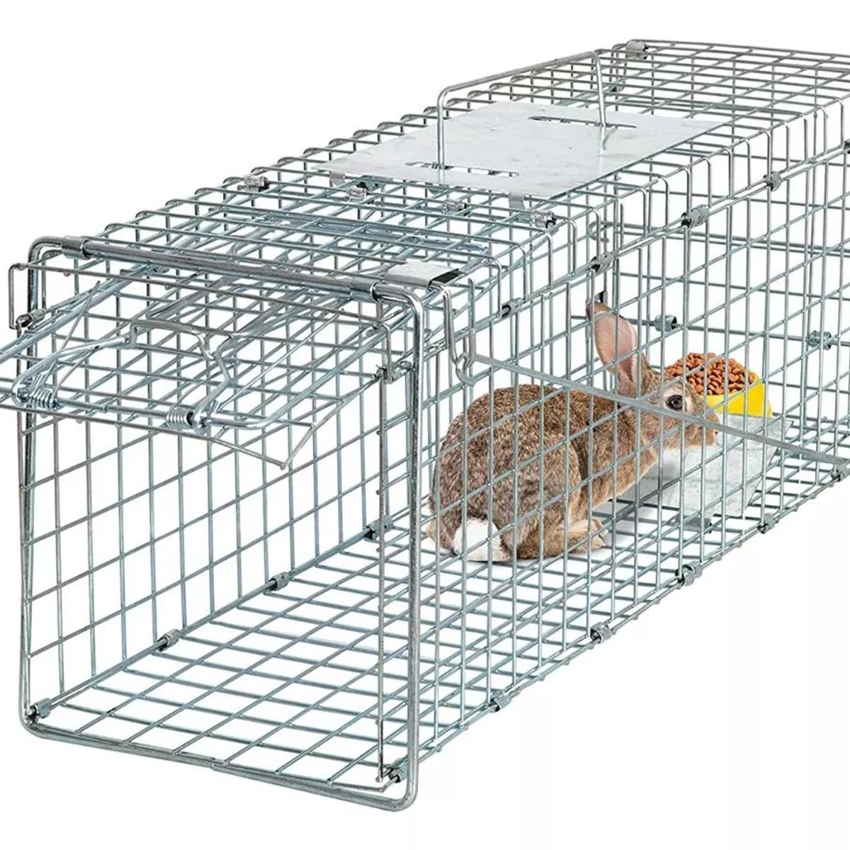 KUANGYE - Jaula Trampa Para Captura Gatos 37x34x94cm