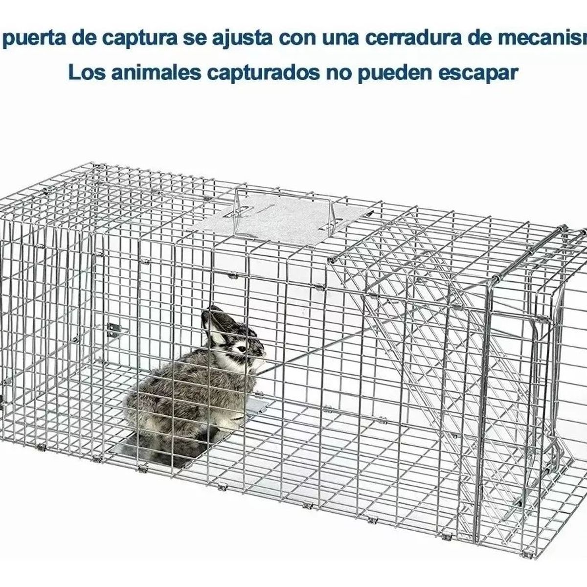 KUANGYE - Jaula Trampa Para Captura Gatos 37x34x94cm